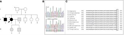 Case report: Early-onset osteoporosis in a patient carrying a novel heterozygous variant of the WNT1 gene